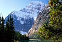 中国足球网比分直播好用吗？怎么看最便捷？